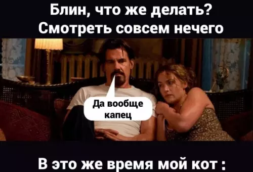 Смешная картинка №603090 Берём пример с пушистых друзей)