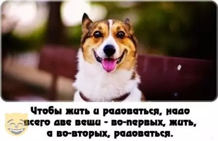 Смешная картинка №479271 #приколы #картинки #мемы ?
