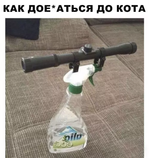 Смешная картинка №286289
