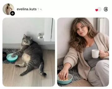 продолжение Смешная картинка №802182