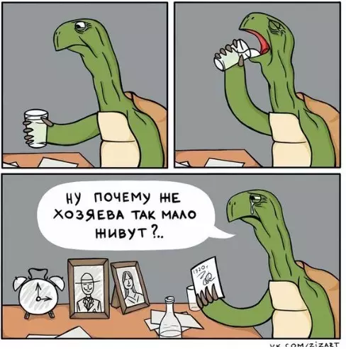 Смешная картинка №291554