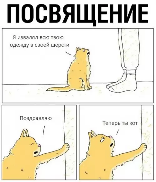 Смешная картинка №360492