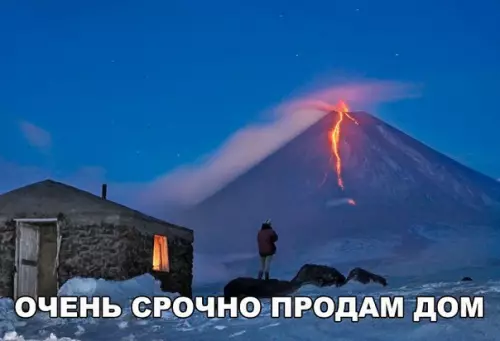 Смешная картинка №286229
