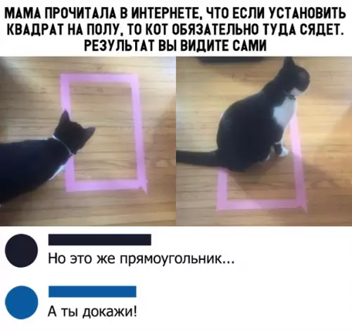 Смешная картинка №324238