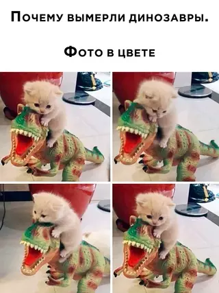 Смешная картинка №670162
