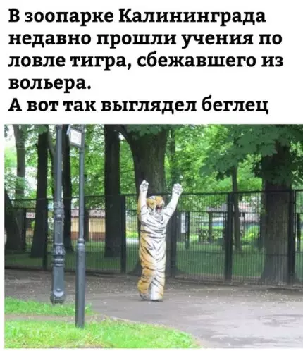 Смешная картинка №270362