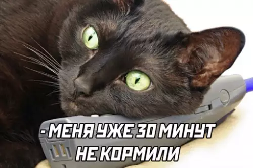 продолжение Смешная картинка №641116