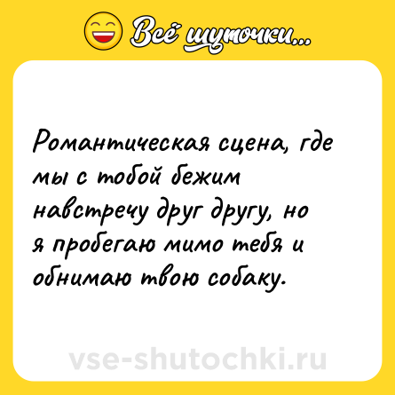 Шутка: Романтическая сцена, где мы с тобой бежим навстречу друг другу, но я пробегаю мимо тебя и обнимаю твою собаку.