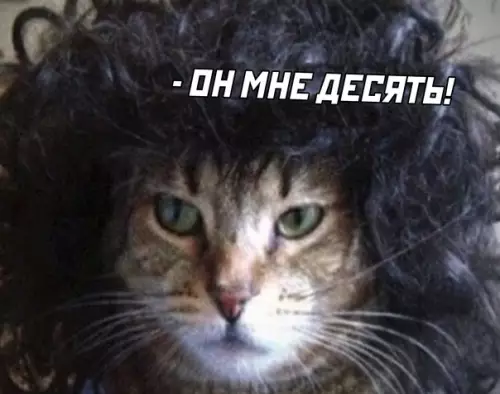 продолжение Смешная картинка №567342