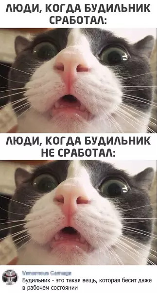 Смешная картинка №553613