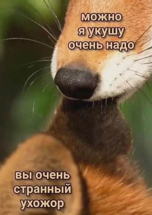 Смешная картинка №737079