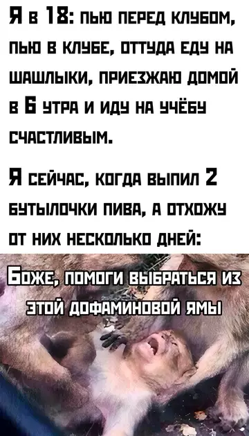 Смешная картинка №752613