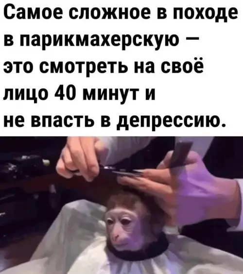 Смешная картинка №666452 И постоянно нос чешется