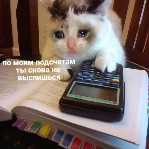 Смешная картинка №761454
