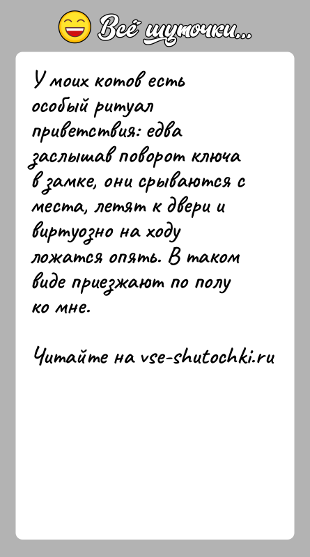 История: У моих котов есть особый ритуал приветствия: едва заслышав поворот ключа в замке, они срываются с места, летят к двери
