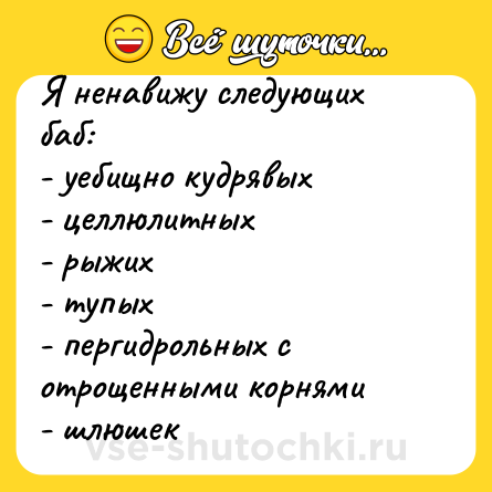 Шутка: Я ненавижу следующих баб:<br>- уебищно кудрявых<br>- целлюлитных<br>- рыжих<br>- тупых<br>- пергидрольных с отрощенными корнями<br>- шлюшек