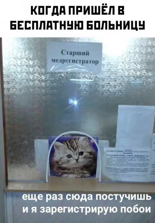 Смешная картинка №704201
