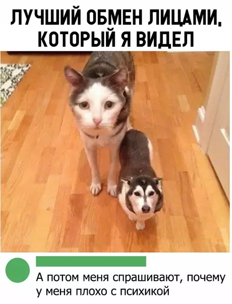 Смешная картинка №335095