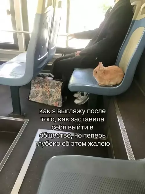 Смешная картинка №798032