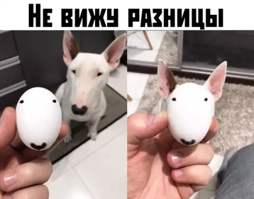 Смешная картинка №384019