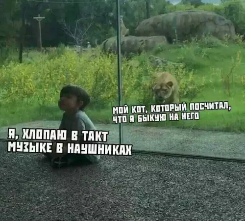 Смешная картинка №735035