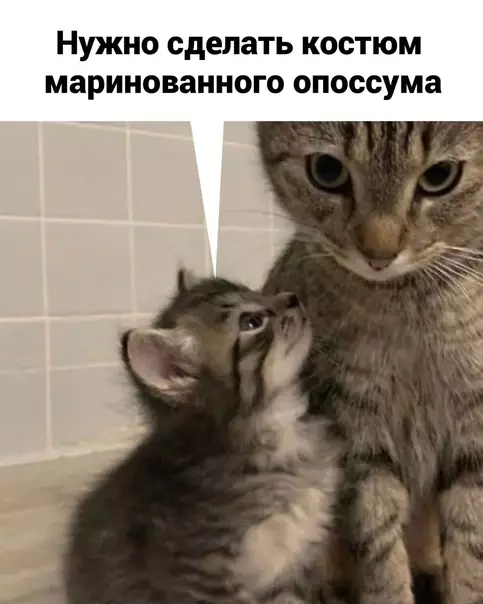 продолжение Смешная картинка №567521