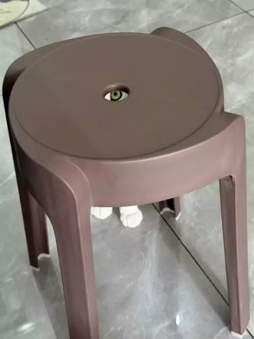 Кто там затаился? 👀
