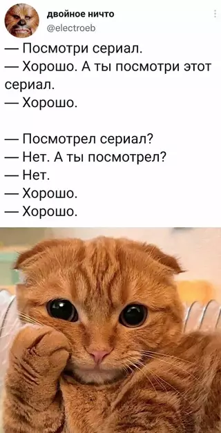 Смешная картинка №641285 Так и живем