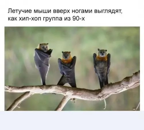 Смешная картинка №182927