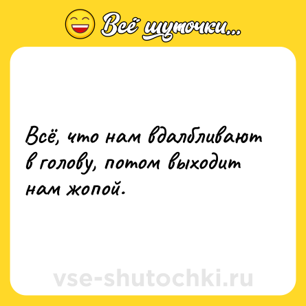 Шутка: Всё, что нам вдалбливают в голову, потом выходит нам жопой.