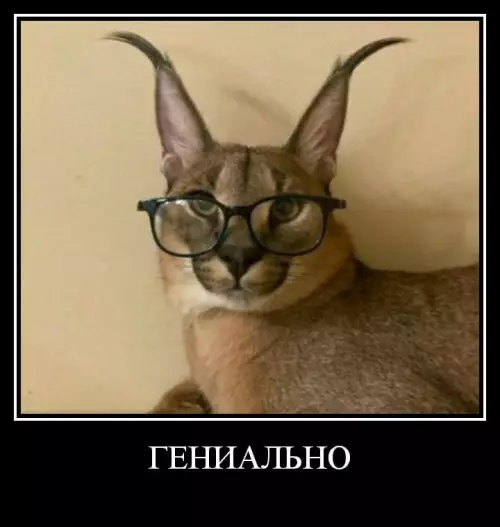 продолжение Смешная картинка №617742