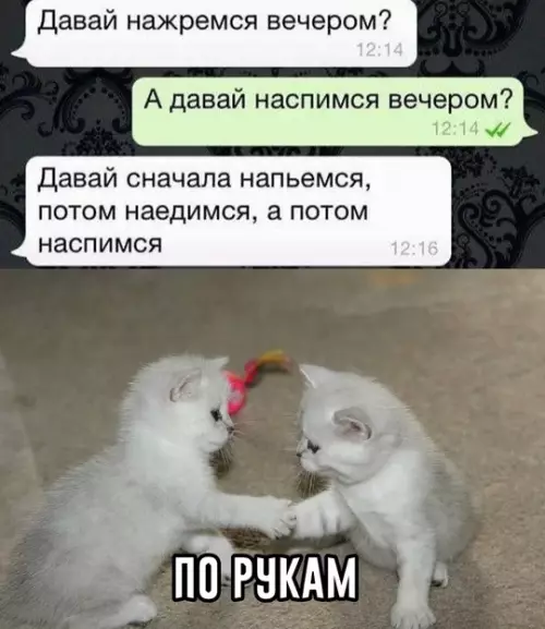 Смешная картинка №752059 Идеальный план