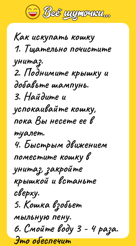 Как искупать кошку 1. Тщательно почистите унитаз. 2. Поднимите крышку