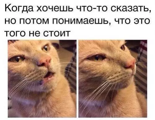 Смешная картинка №308936