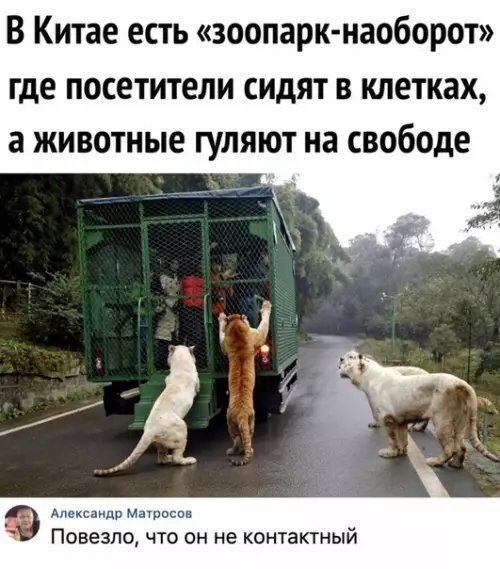 Смешная картинка №345065 Ябпocетил.