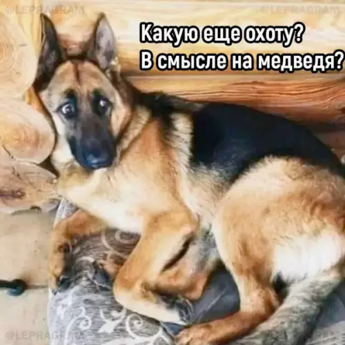 Смешная картинка №653278