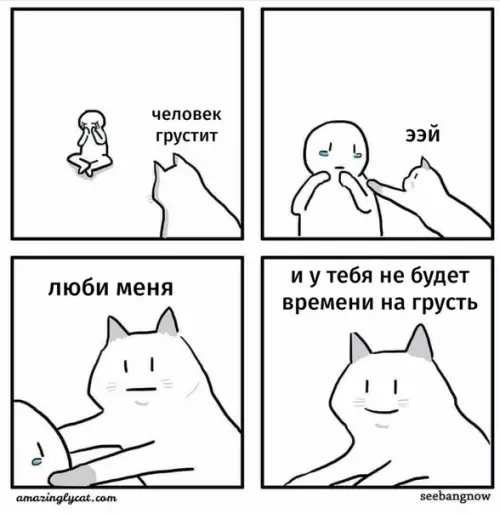 Смешная картинка №502123 Для чего нужны котики