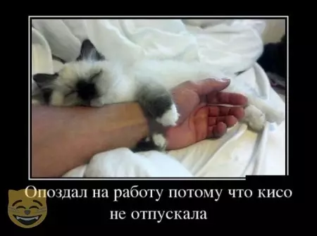 Смешная картинка №478807 #приколы #картинки #мемы ?
