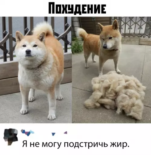 Смешная картинка №380369