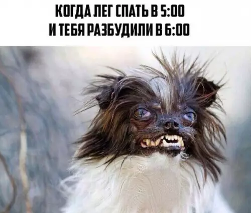 Смешная картинка №191743