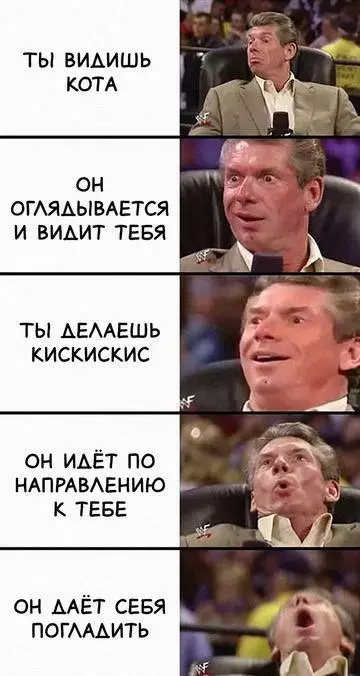 Смешная картинка №724452 коты