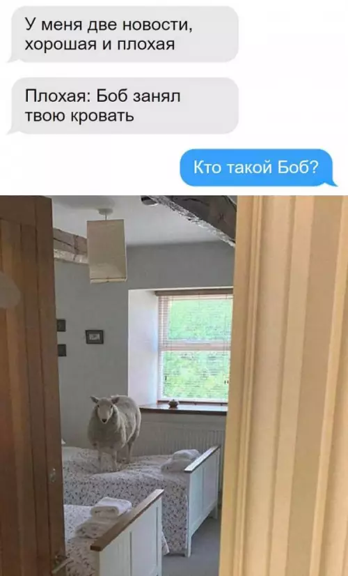 Смешная картинка №657650