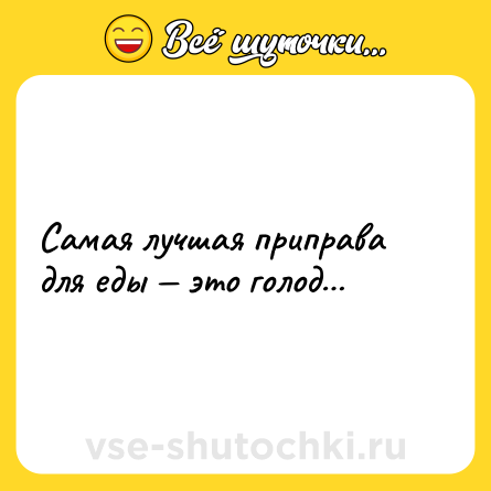 Шутка: Самая лучшая приправа для еды — это голод…