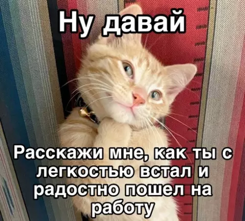 Смешная картинка №690747