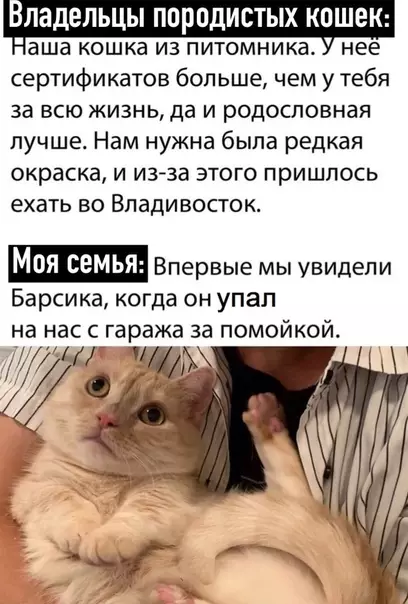 Смешная картинка №521565