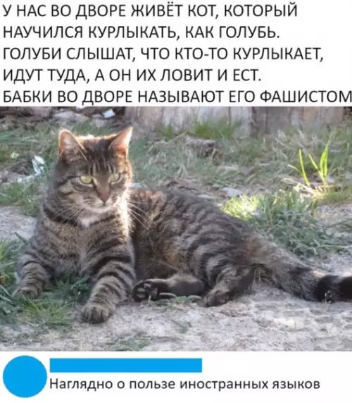 Смешная картинка №492153 Пpoглoт-пoлиглoт