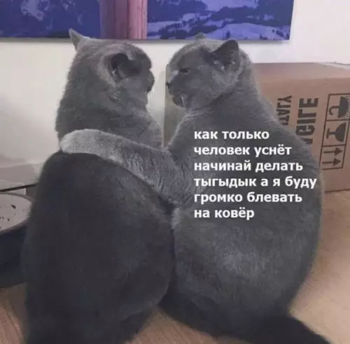 Смешная картинка №507205 Банда в сборе)