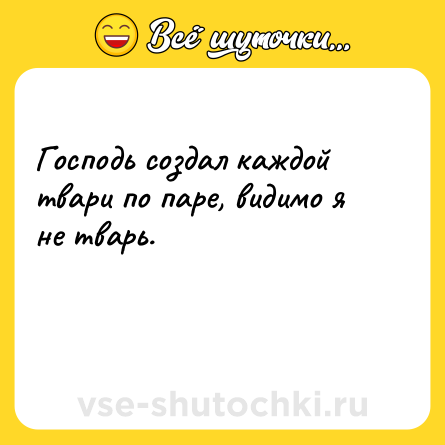 Шутка: Господь создал каждой твари по паре, видимо я не тварь.<br><br>