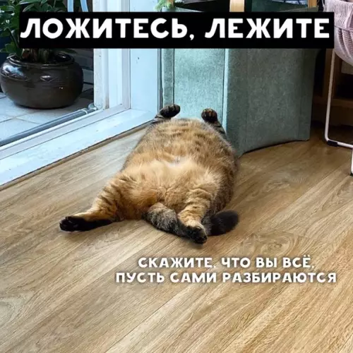 Смешная картинка №392044 Советы, как избавиться от дискомфорта во время важных переговоров
