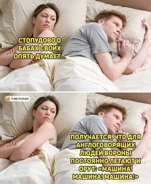 Трудности перевода или почему вороны такие шумные? 🐦 - СТОПУДОВО О БАБАХ СВОИХ ОПЯТЬ ДУМАЕТ... ПОЛУЧАЕТСЯ, ЧТО ДЛЯ АНГЛОГОВОРЯЩИХ